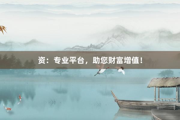 资：专业平台，助您财富增值！