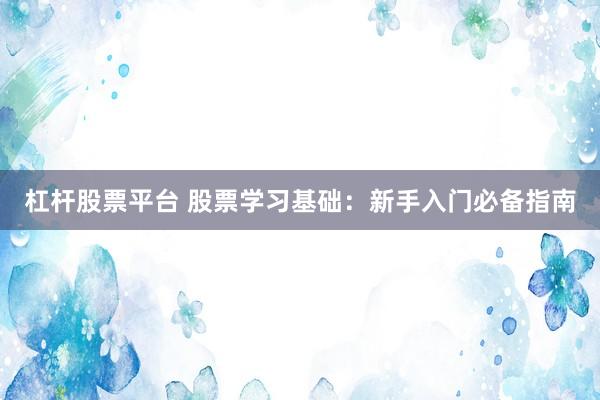 杠杆股票平台 股票学习基础：新手入门必备指南