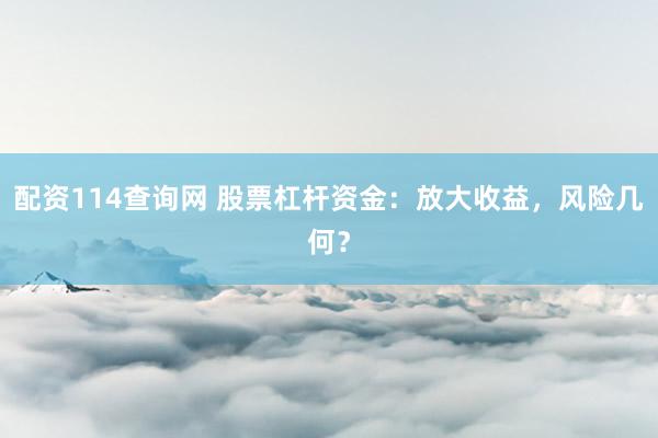 配资114查询网 股票杠杆资金：放大收益，风险几何？