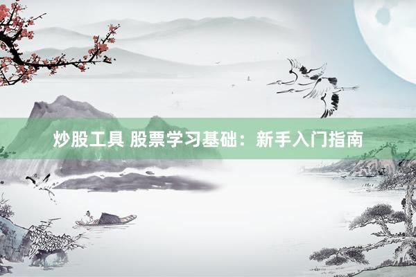 炒股工具 股票学习基础：新手入门指南
