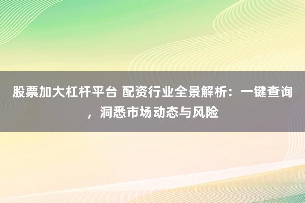 股票加大杠杆平台 配资行业全景解析：一键查询，洞悉市场动态与风险