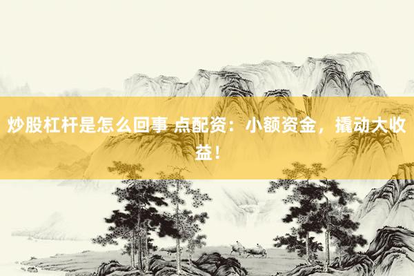 炒股杠杆是怎么回事 点配资：小额资金，撬动大收益！