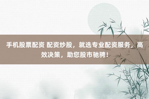 手机股票配资 配资炒股，就选专业配资服务，高效决策，助您股市驰骋！