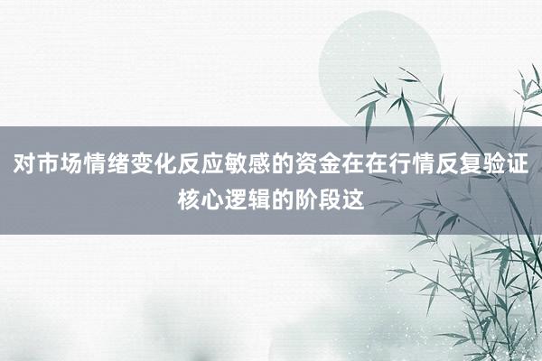 对市场情绪变化反应敏感的资金在在行情反复验证核心逻辑的阶段这